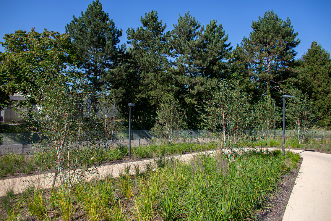 Ein Foto von Petra Rainer