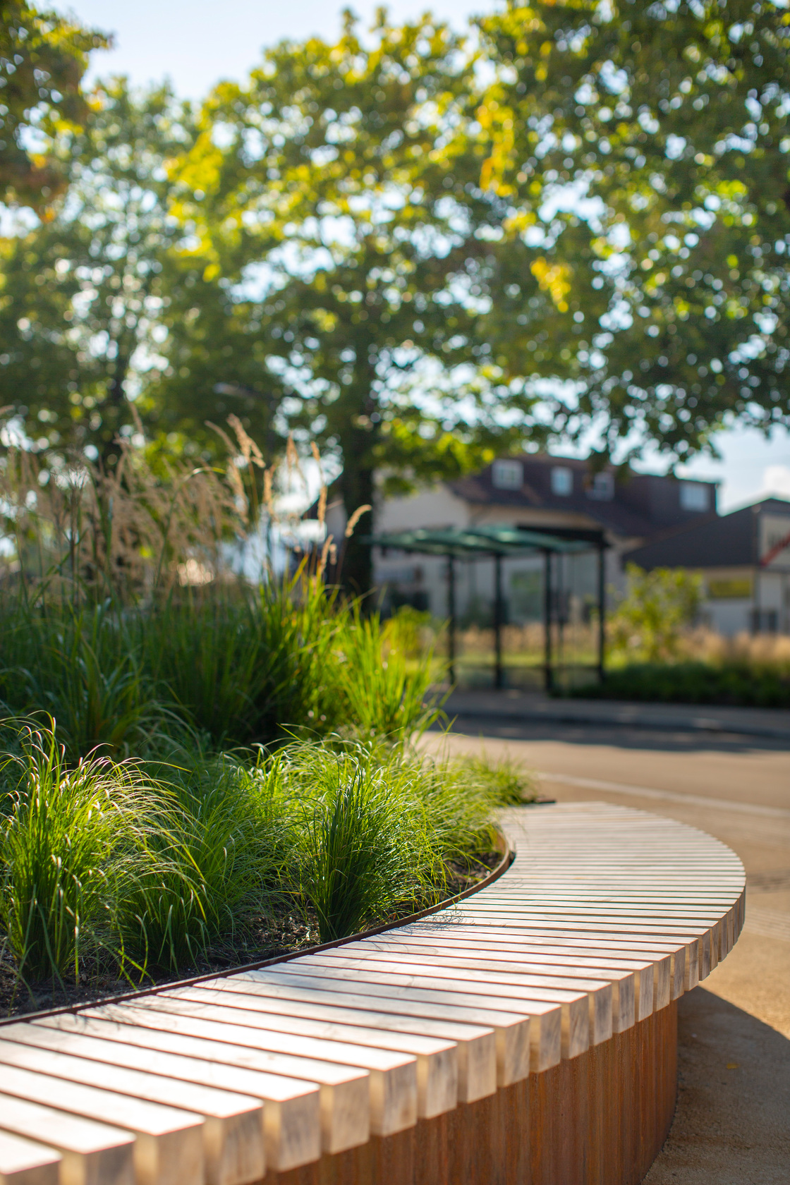 Ein Foto von Petra Rainer