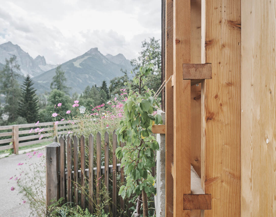 Ein Foto von David Schreyer