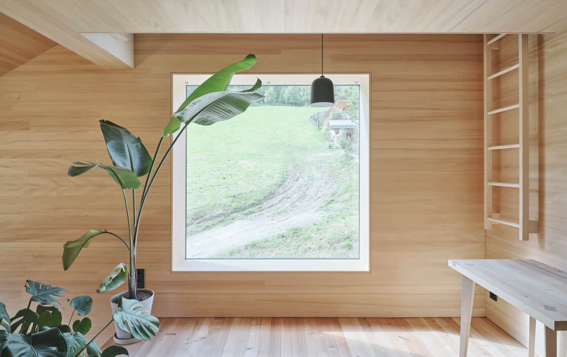 Ein Foto von David Schreyer