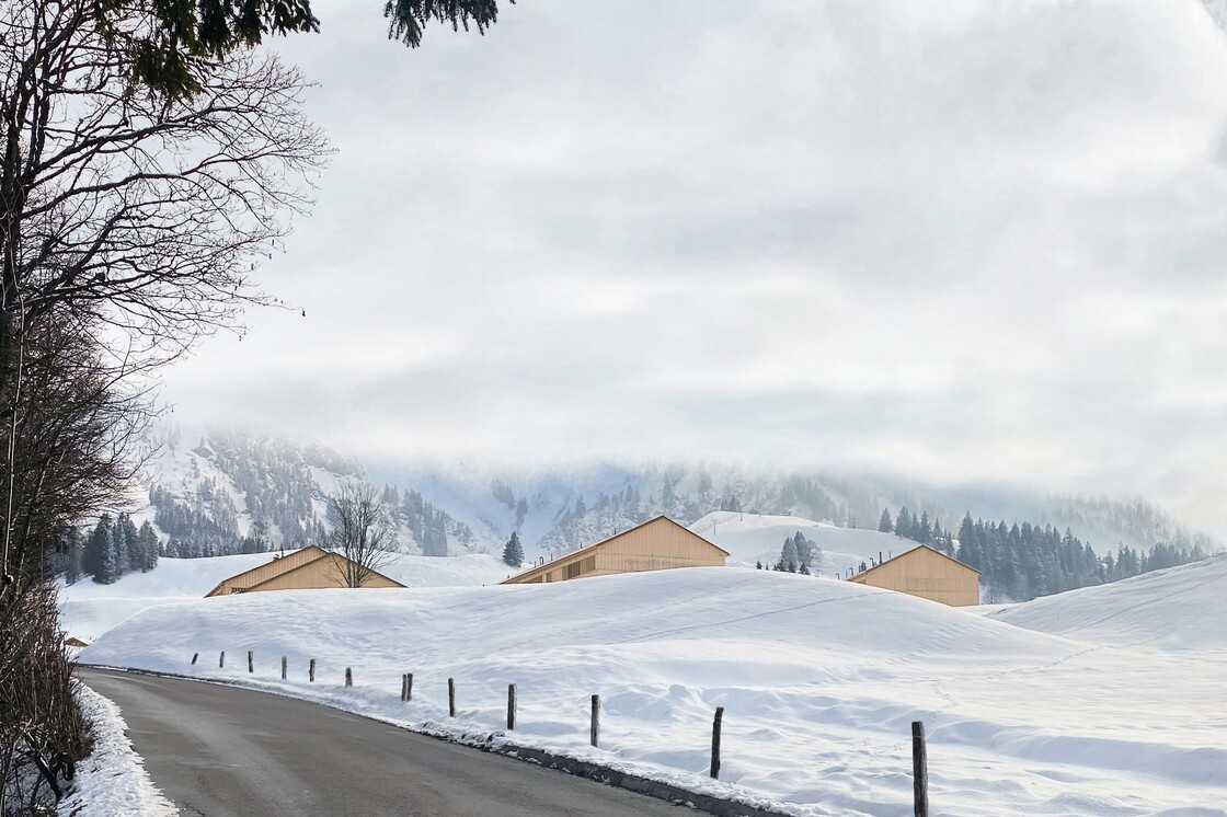 Ein Foto von Elmar Ludescher
