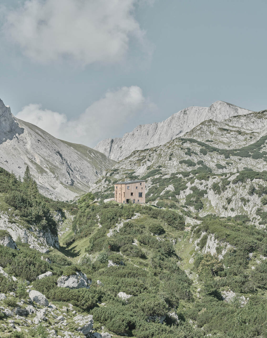 Ein Foto von David Schreyer