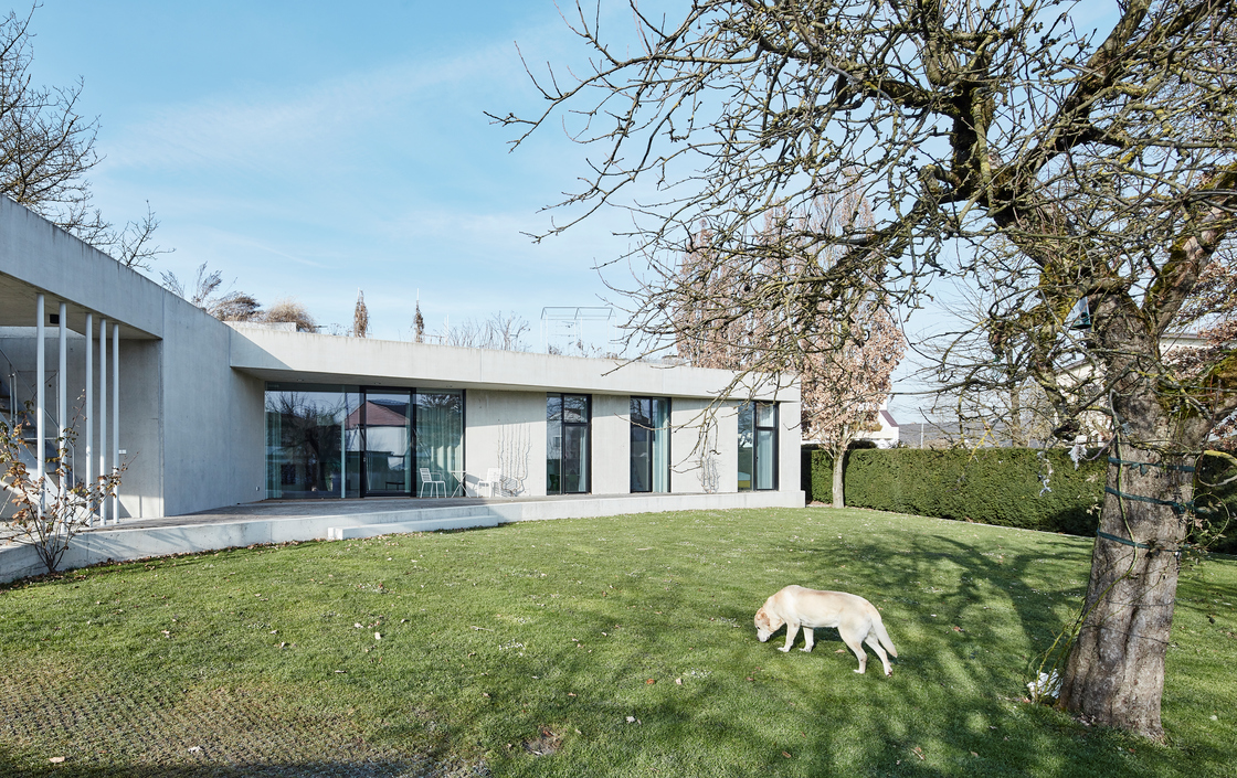 Ein Foto von David Schreyer