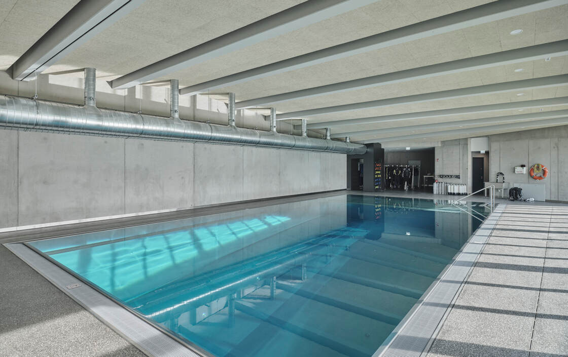 Ein Foto von David Schreyer