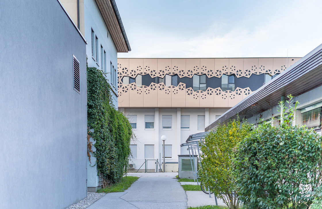 Ein Foto von Felix Kogler