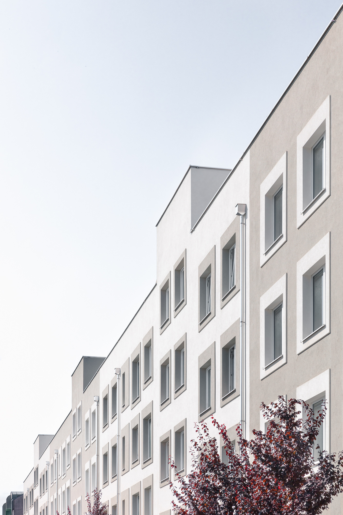 Ein Foto von tschinkersten