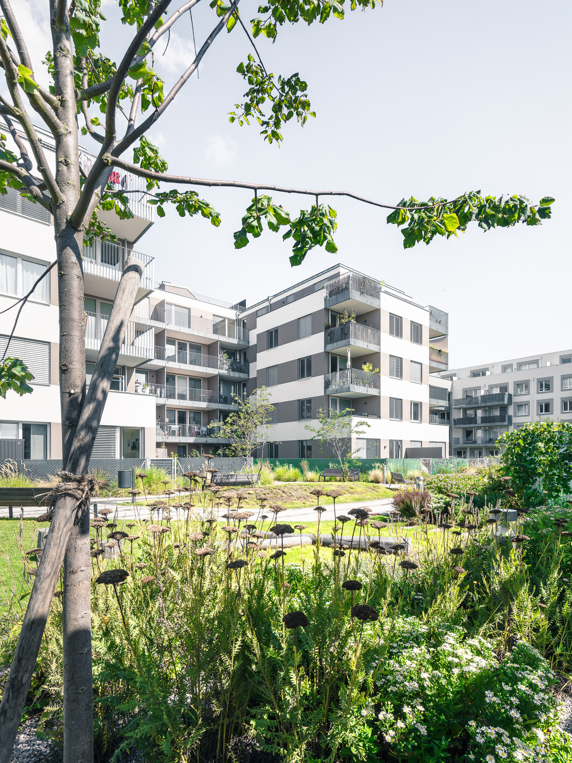 Ein Foto von tschinkersten