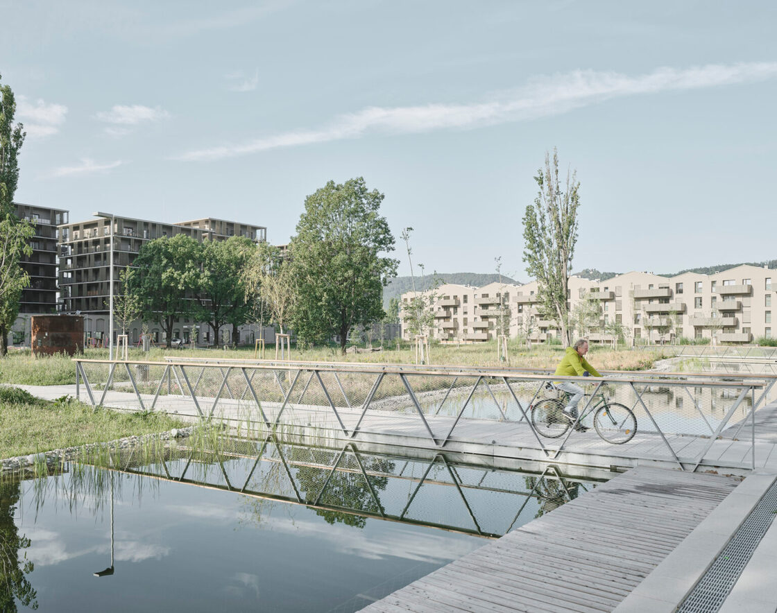 Ein Foto von David Schreyer