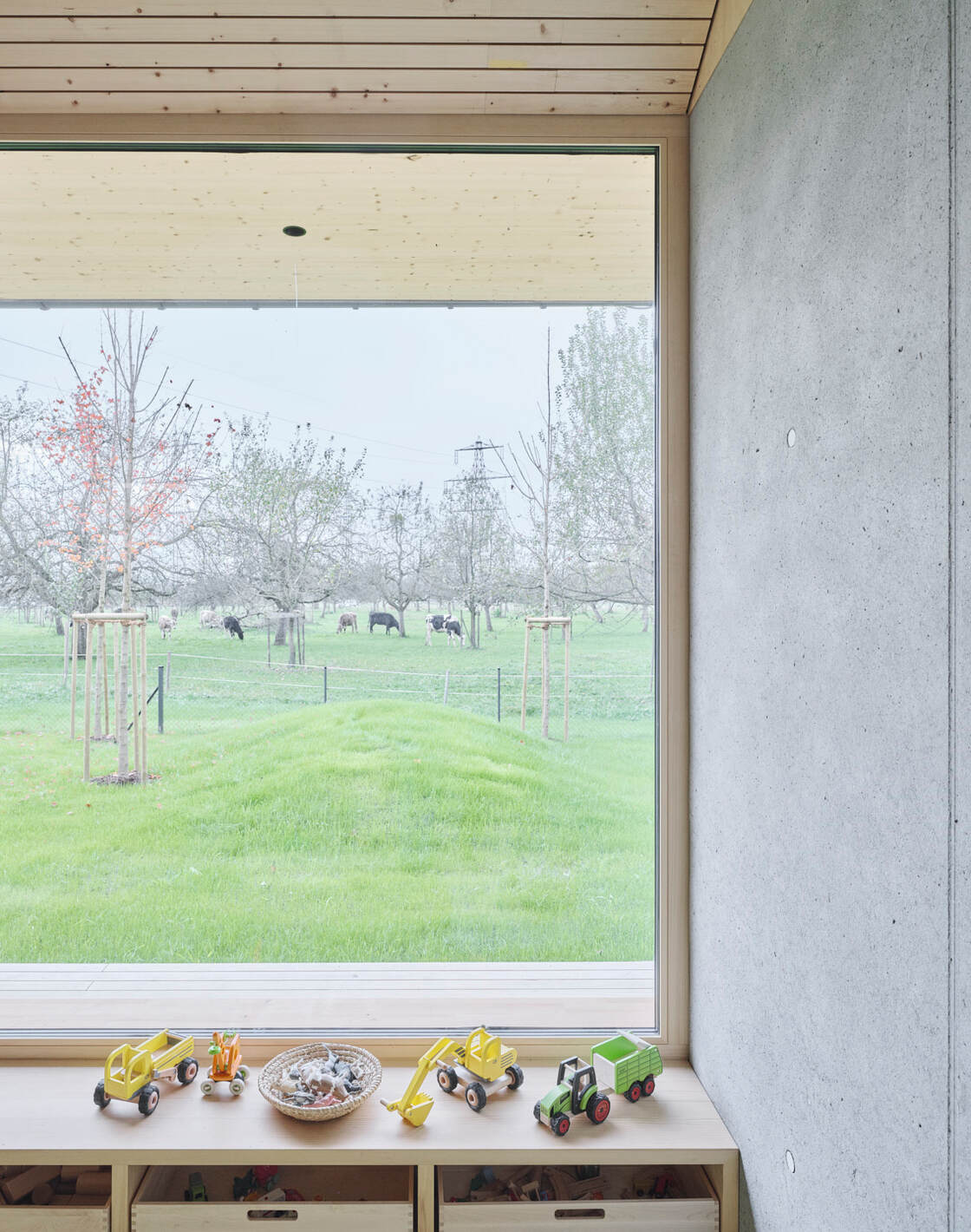 Ein Foto von David Schreyer