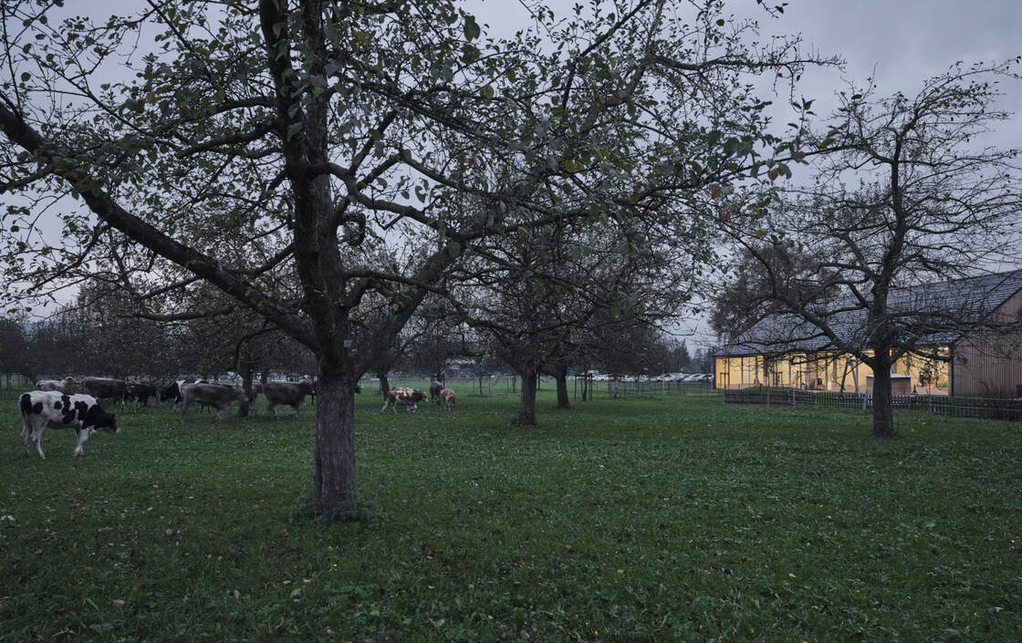 Ein Foto von David Schreyer