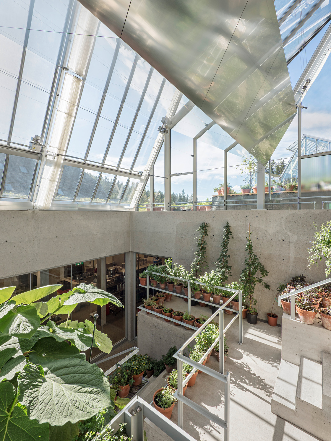 Ein Foto von Hertha Hurnaus