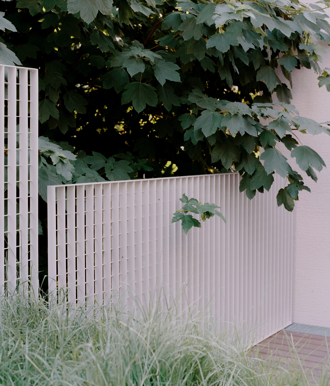 Ein Foto von Simone Bossi