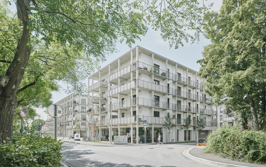 Ein Foto von David Schreyer