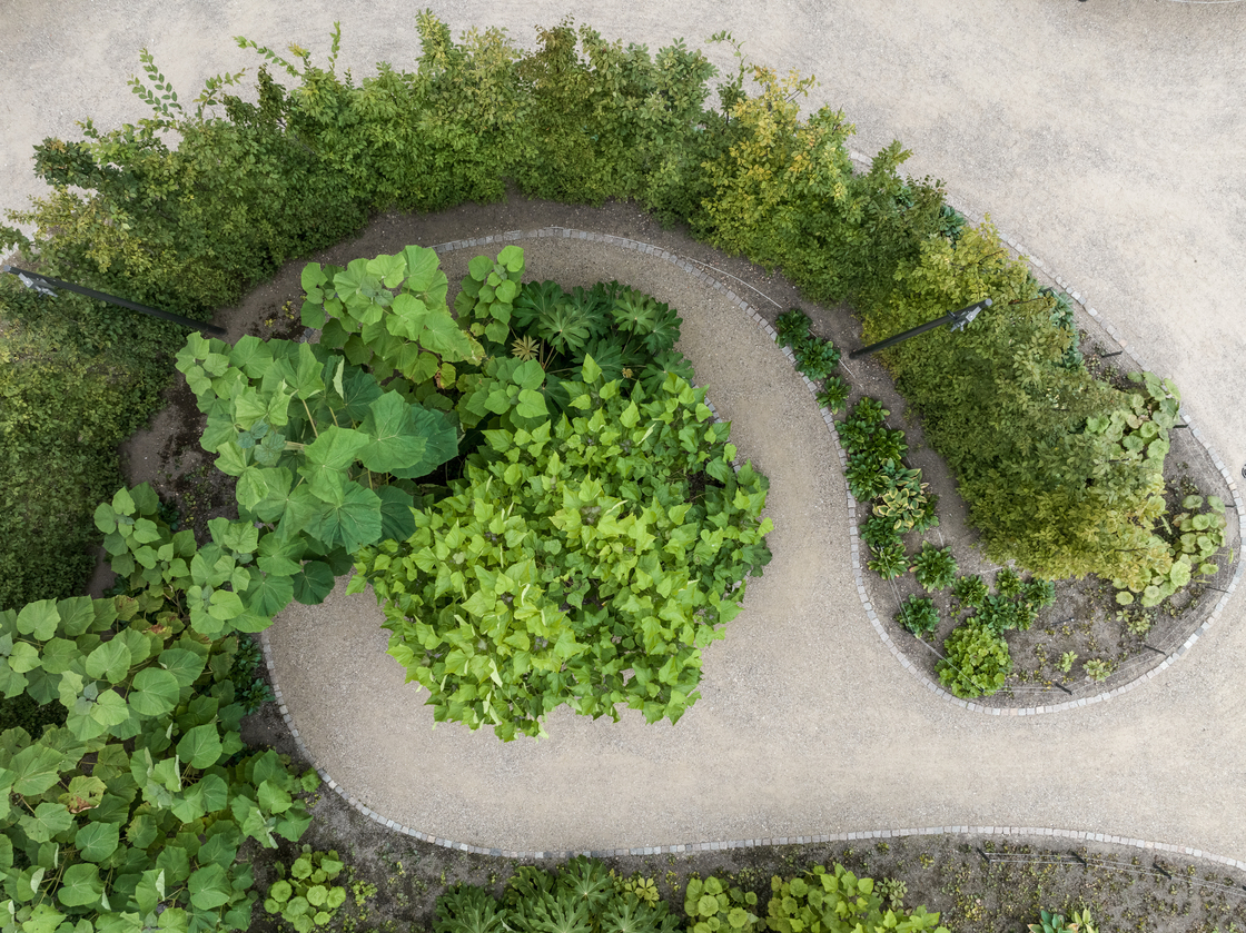 Ein Foto von Rasmus Hjortshøj