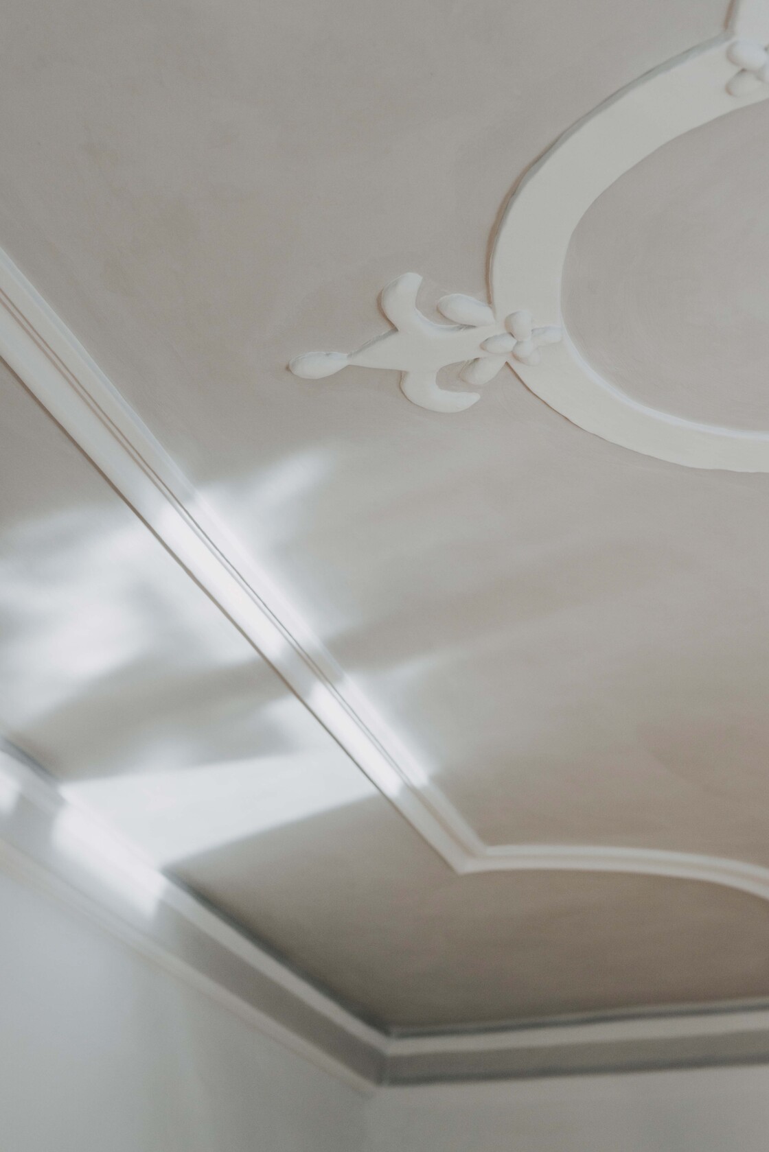 Ein Foto von Angela Lamprecht