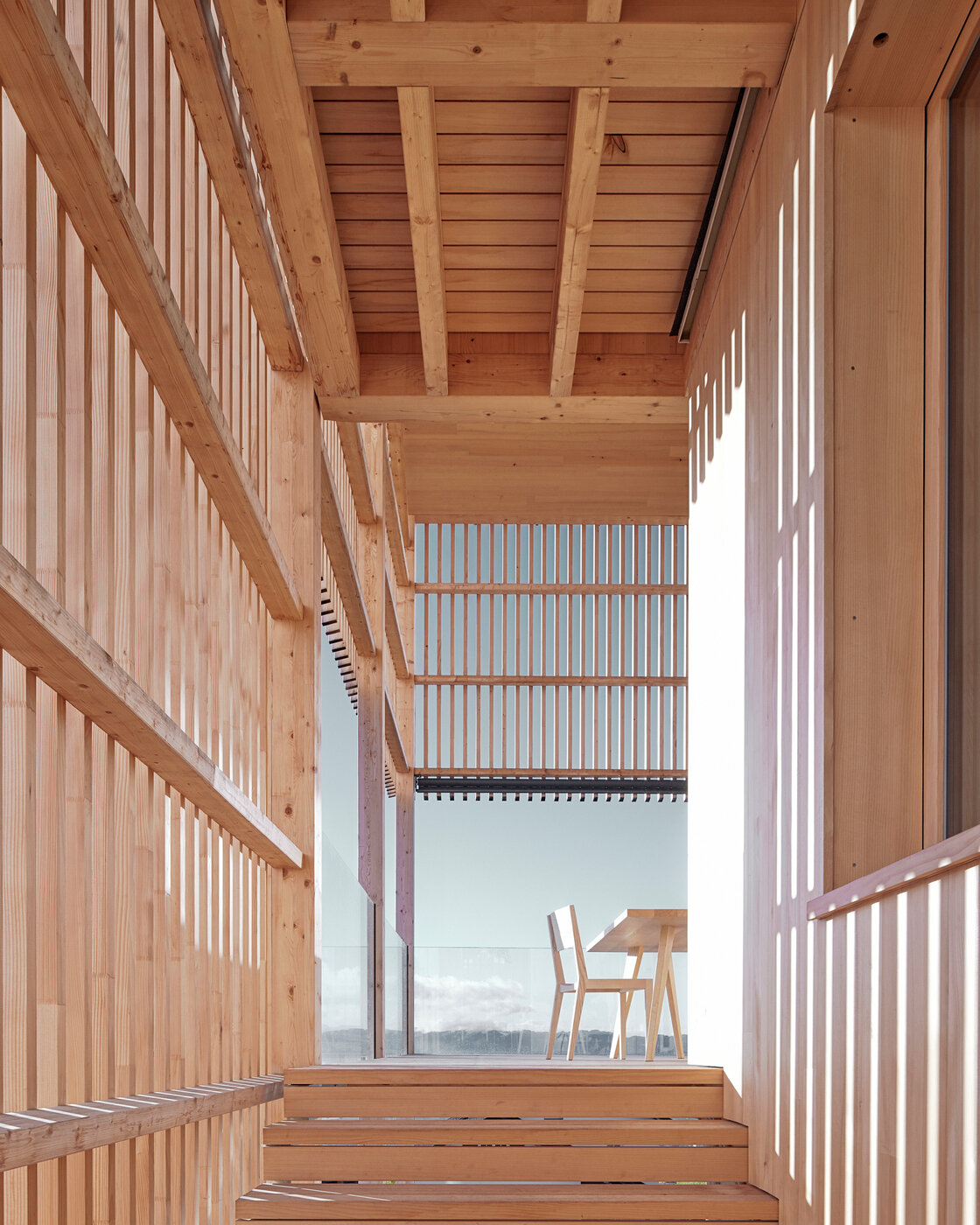 Ein Foto von Adolf Bereuter