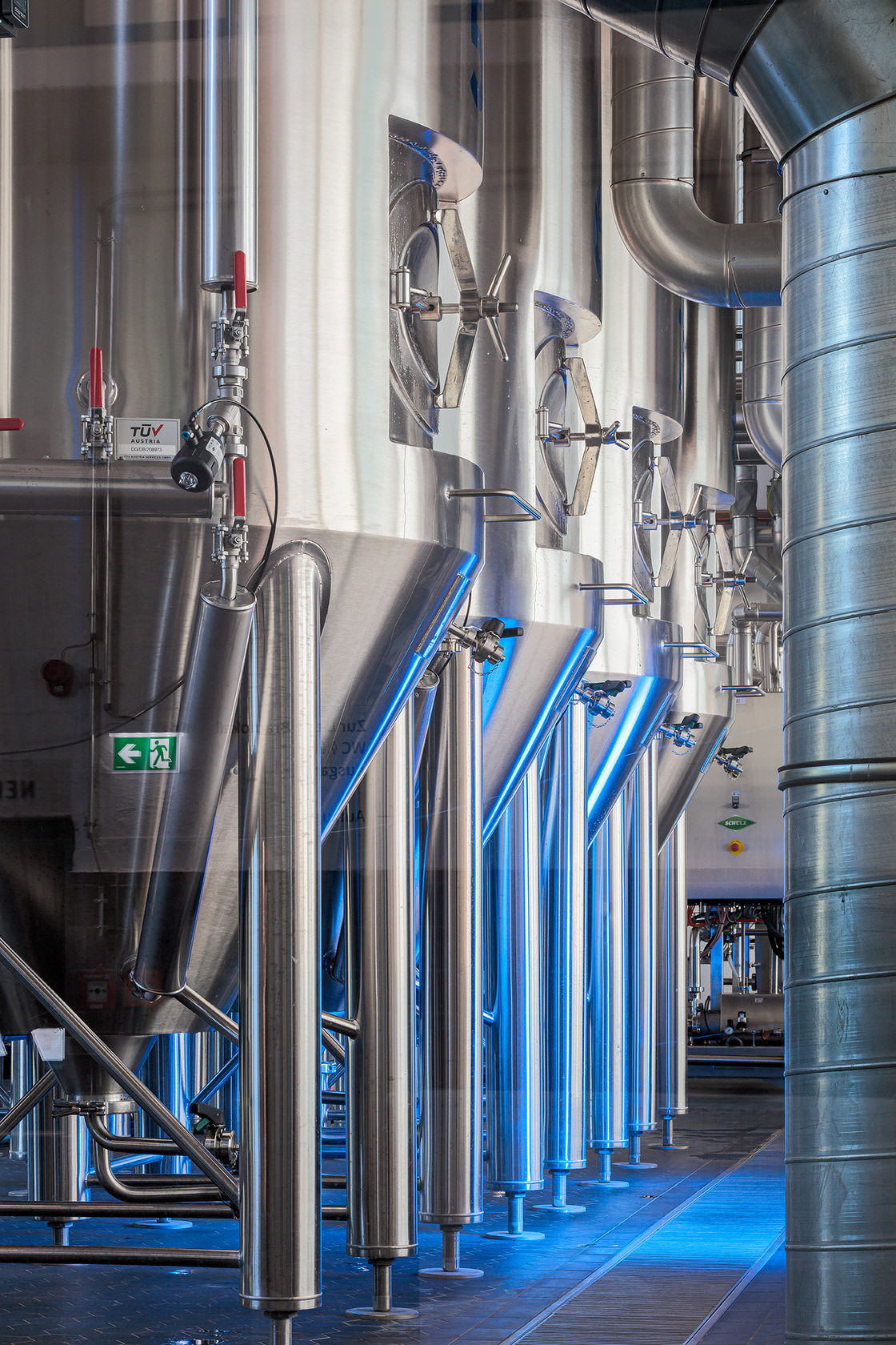 Ein Foto von Martin Steinkellner