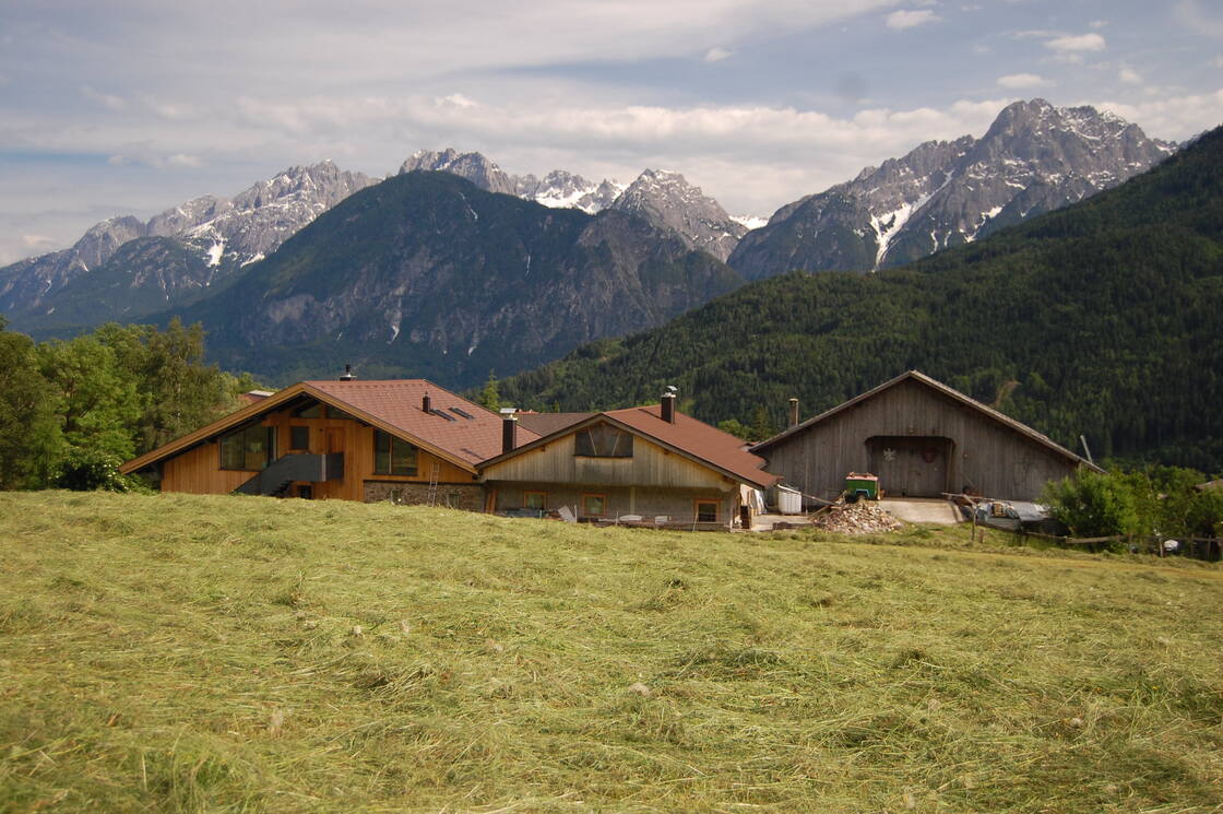 Ein Foto von Christine Renzler