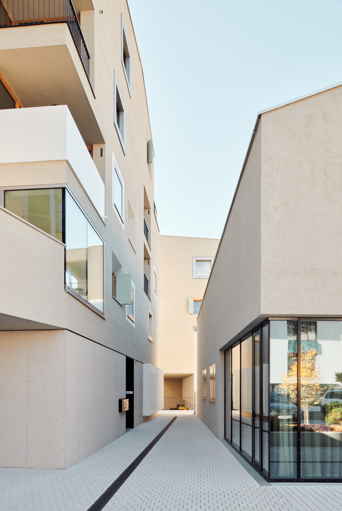 Ein Foto von Lukas Schaller