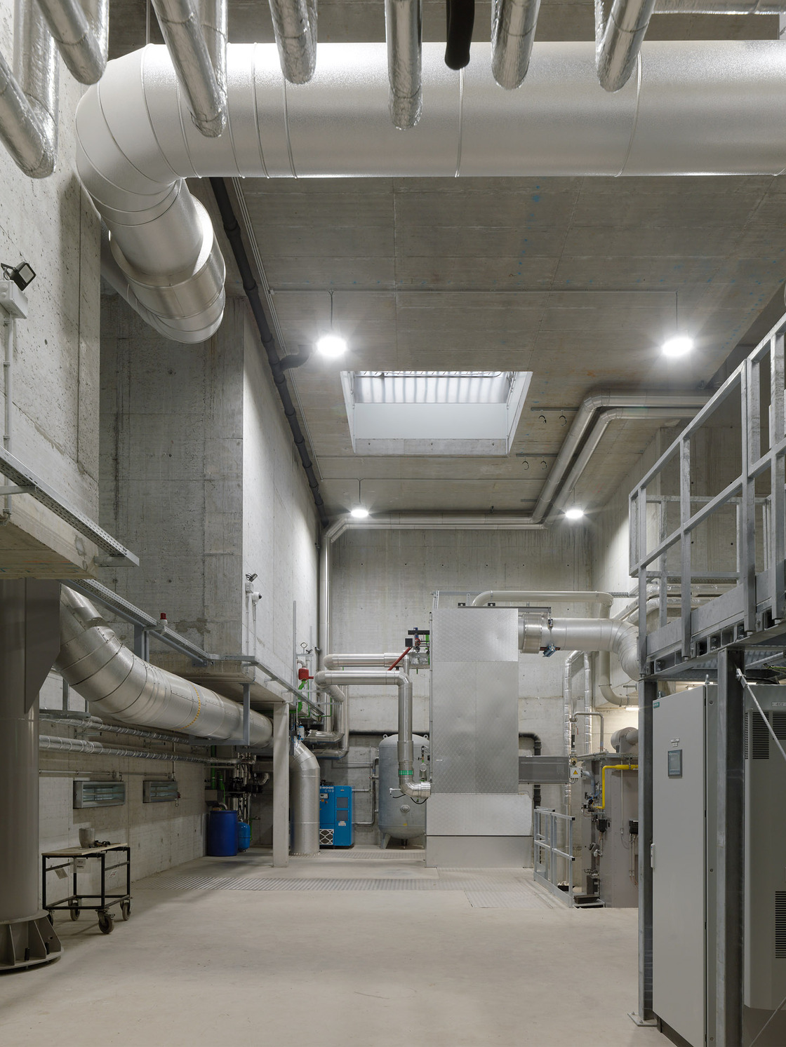 Ein Foto von Paul Ott