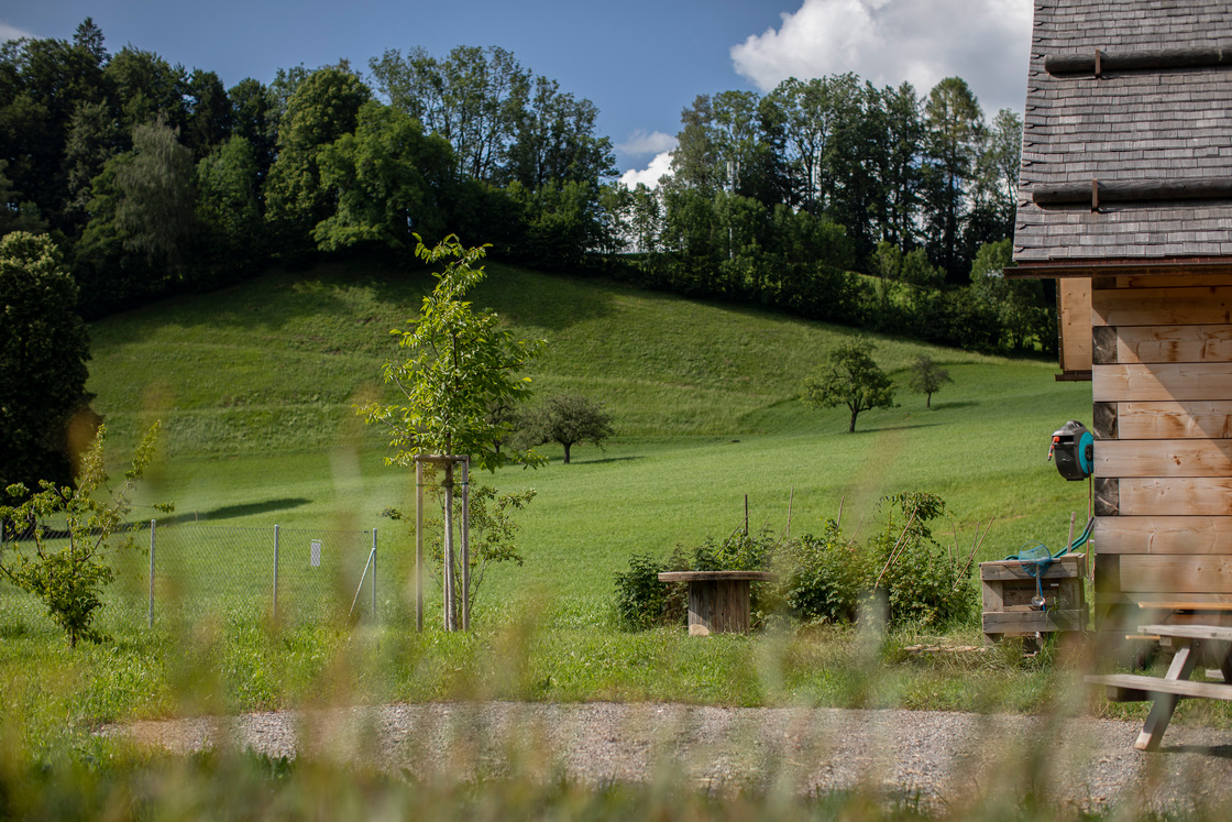 Ein Foto von Petra Rainer