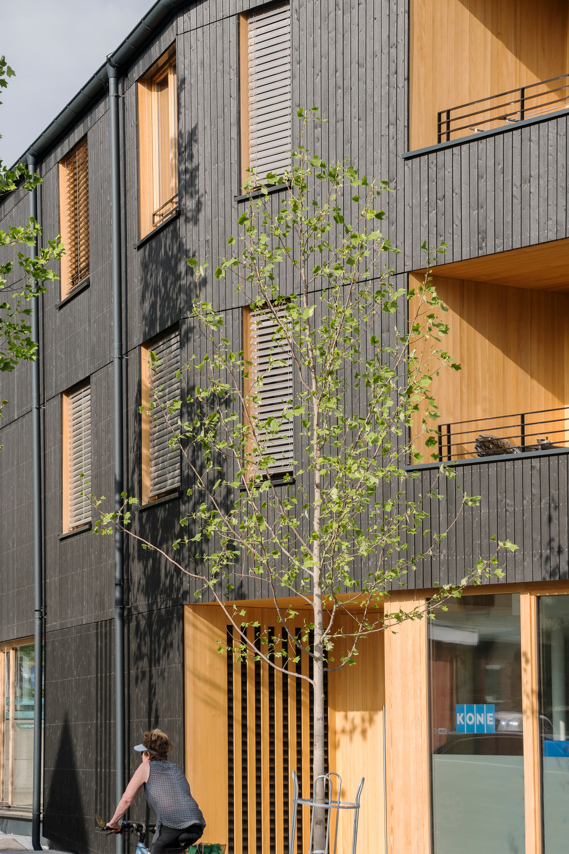 Ein Foto von Albrecht Imanuel Schnabel