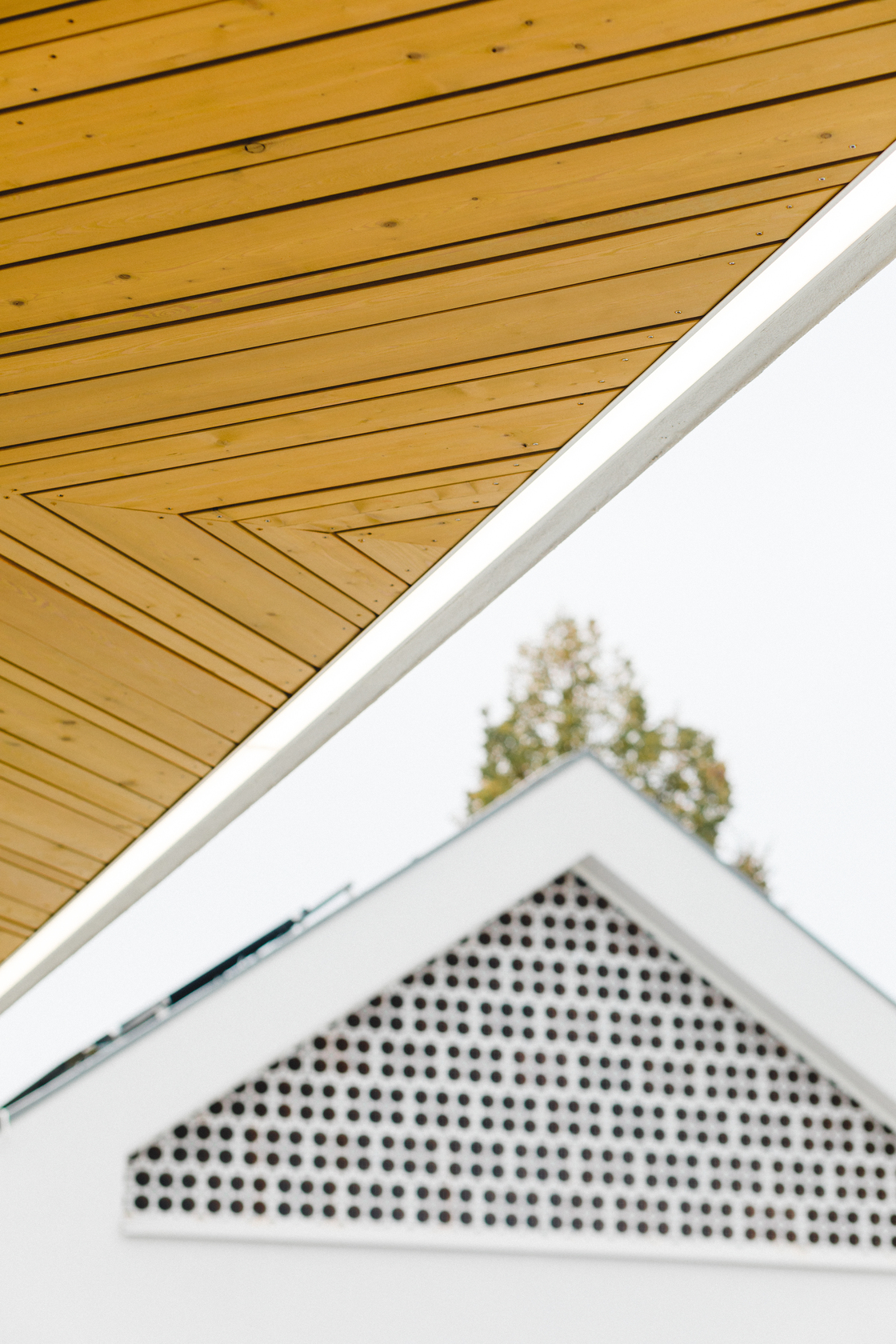 Ein Foto von Julia Grandegger