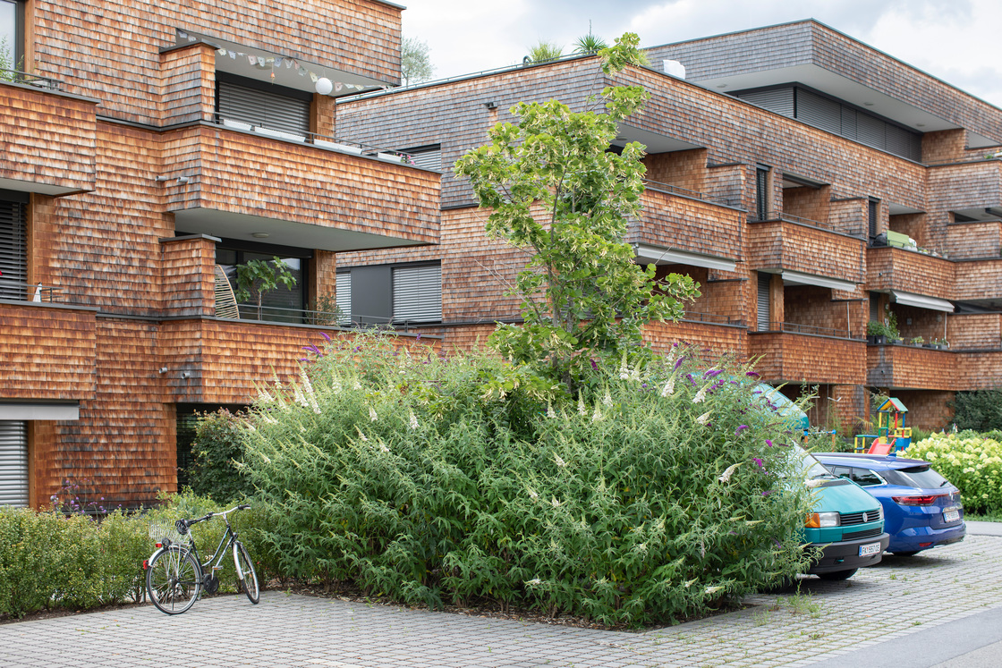 Ein Foto von Petra Rainer