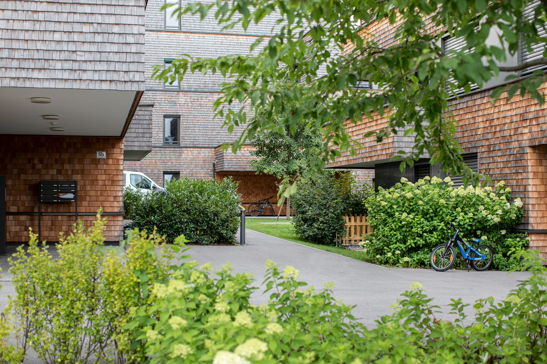 Ein Foto von Petra Rainer