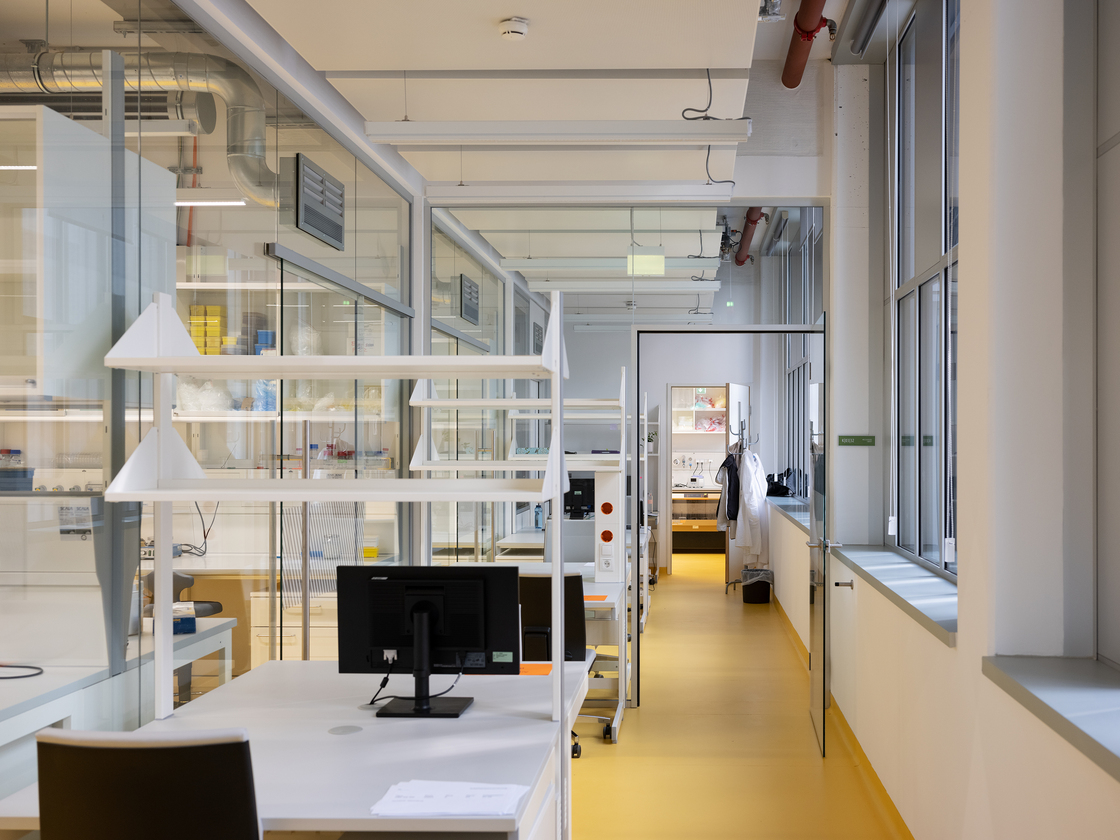 Ein Foto von Paolo Rosselli