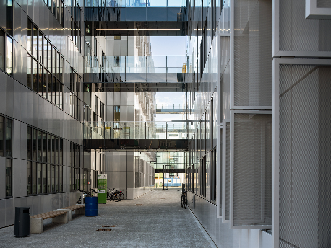 Ein Foto von Paolo Rosselli