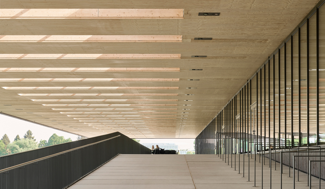 Ein Foto von David Matthiessen