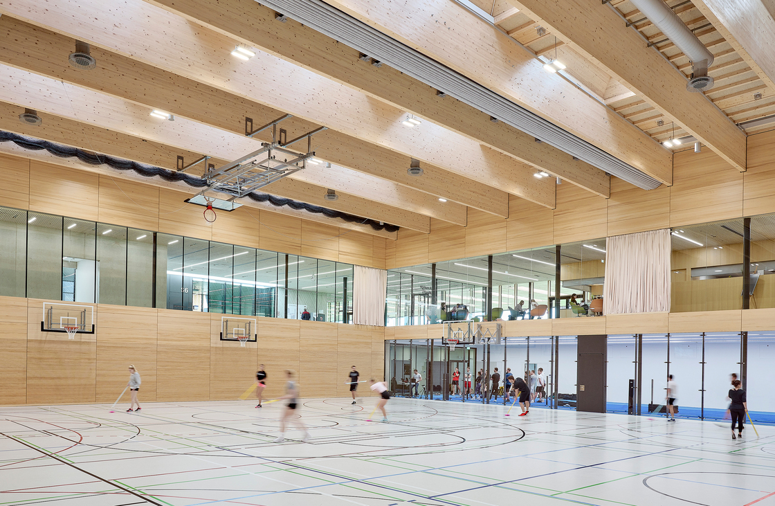 Ein Foto von David Matthiessen