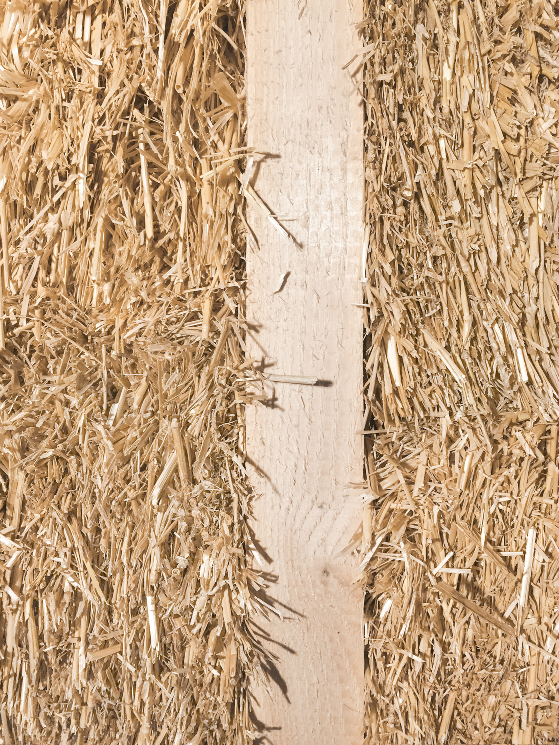 Ein Foto von Juri Troy