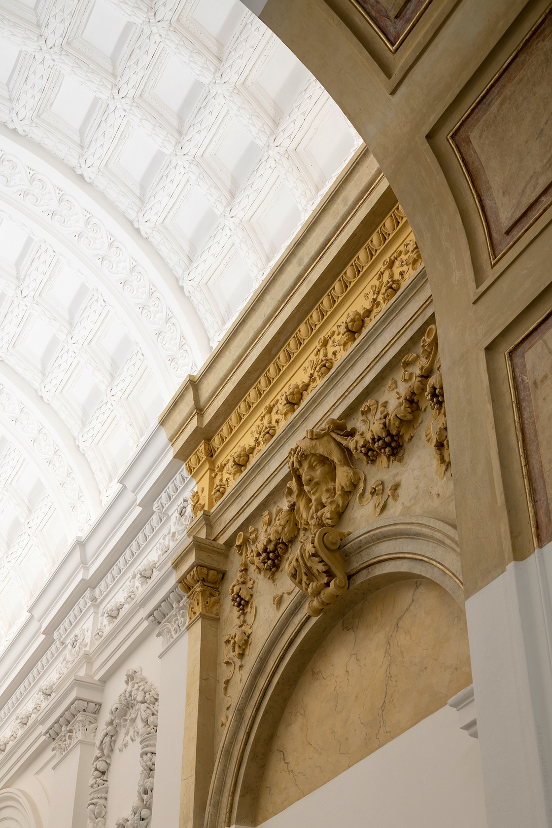 Ein Foto von Lukas Schaller