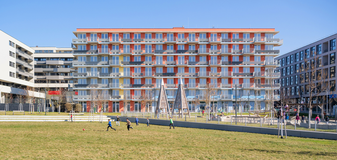 Ein Foto von Luiza Puiu