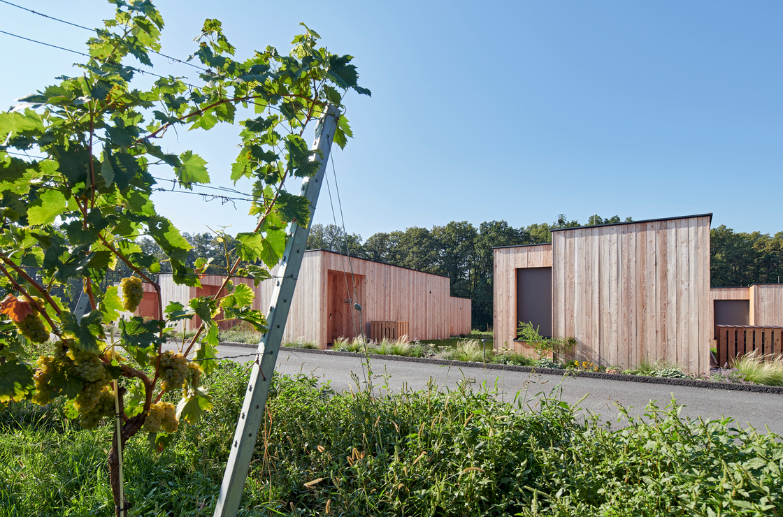 Ein Foto von Toni Rappersberger