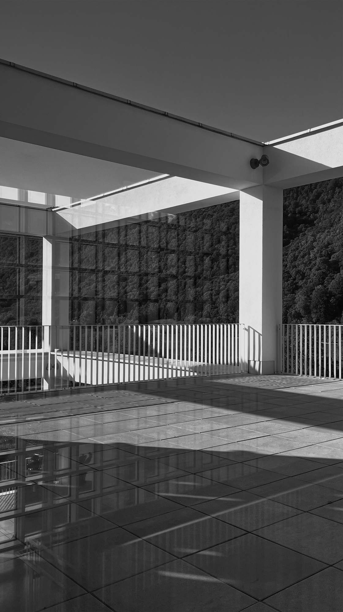 Ein Foto von Yiyang Li