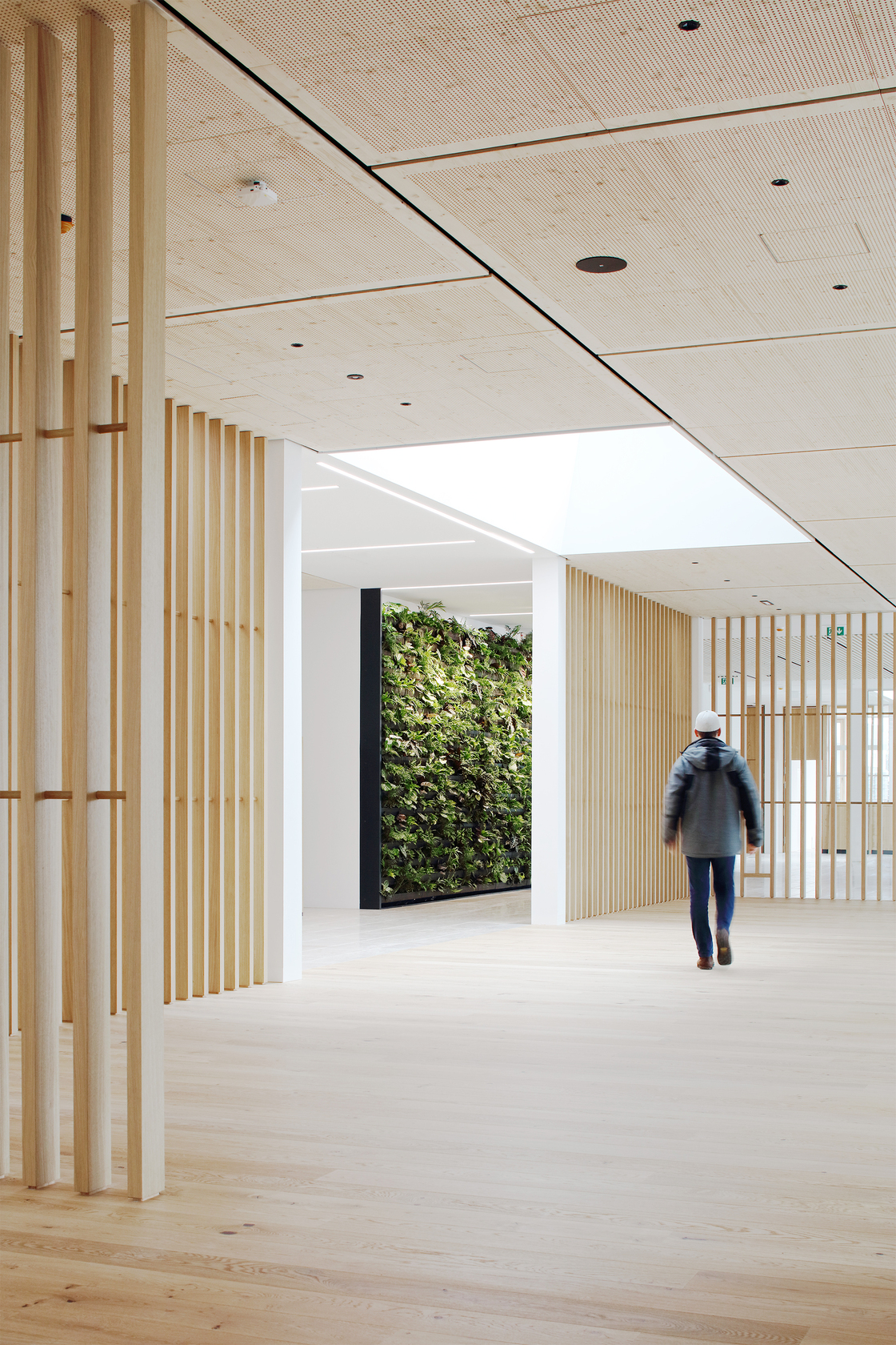 Ein Foto von Christian Brandstätter