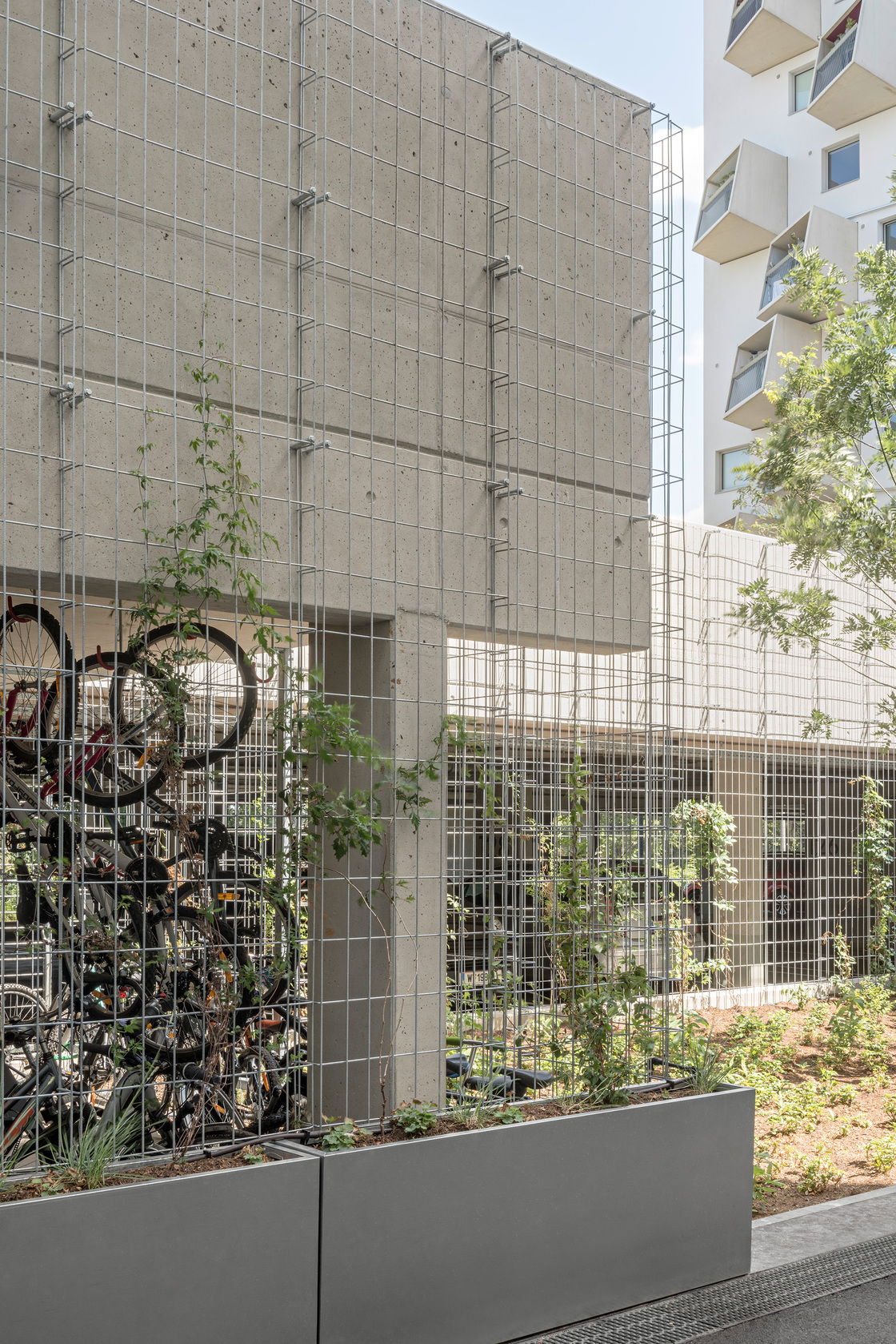 Ein Foto von Hertha Hurnaus