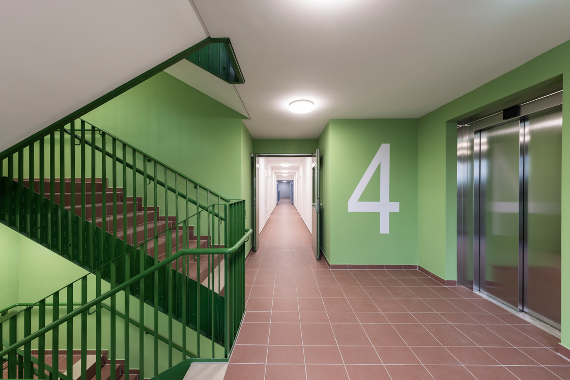 Ein Foto von Daniel Hawelka