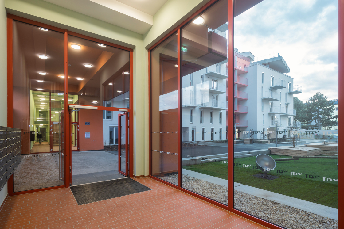 Ein Foto von Daniel Hawelka