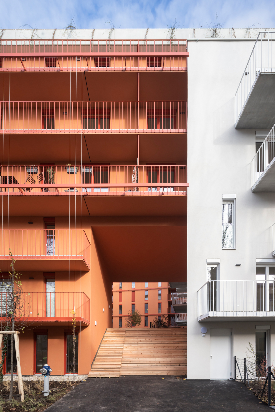 Ein Foto von Daniel Hawelka