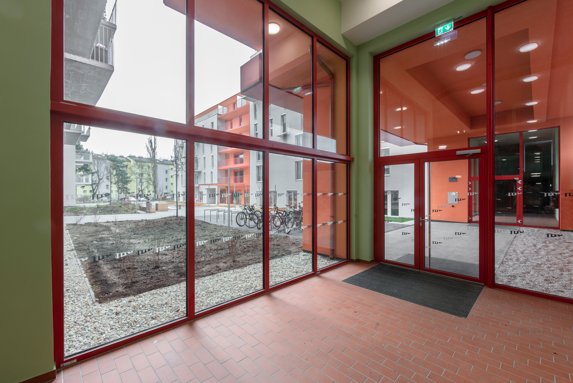 Ein Foto von Wolfgang Thaler