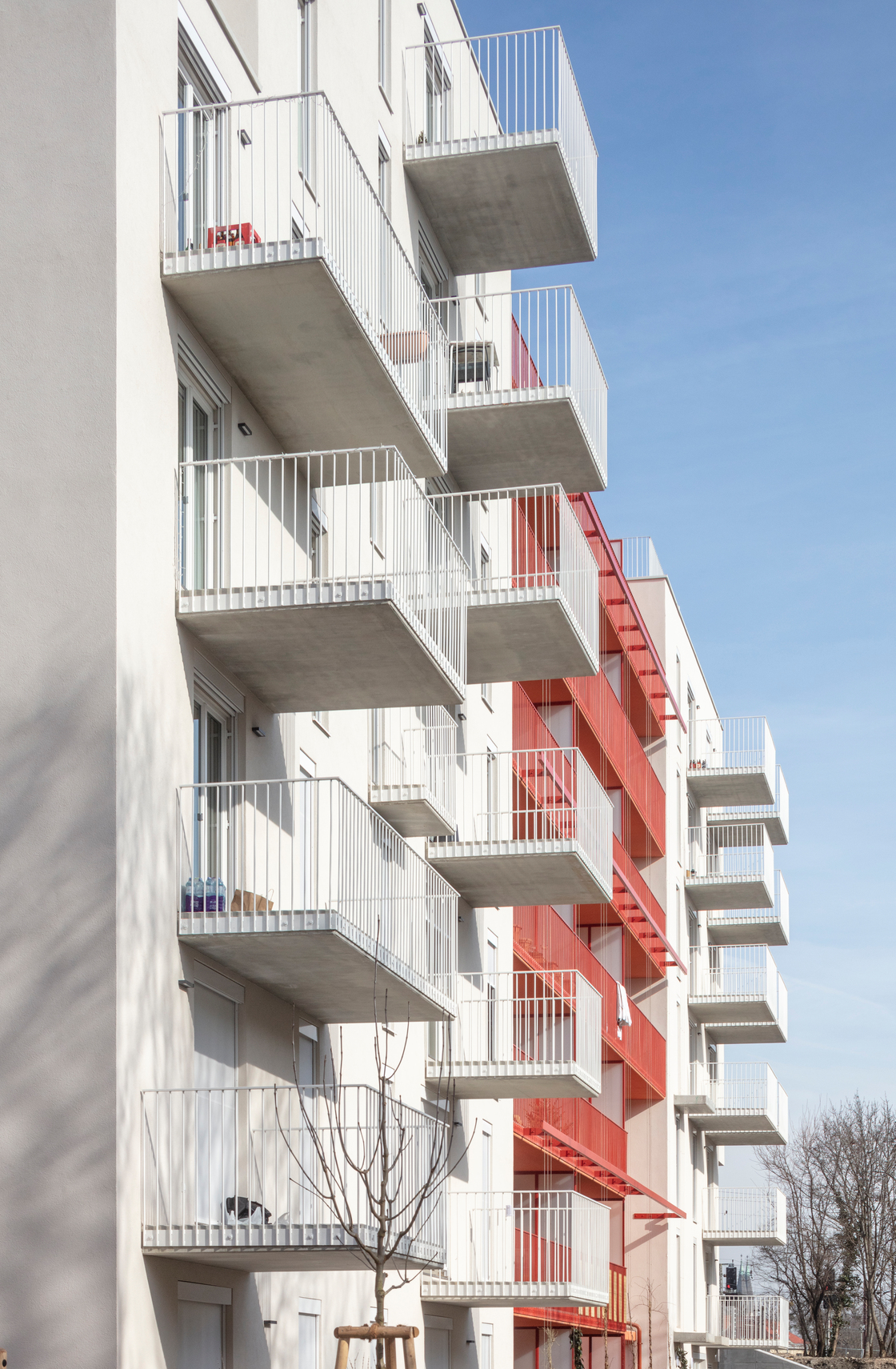 Ein Foto von Wolfgang Thaler