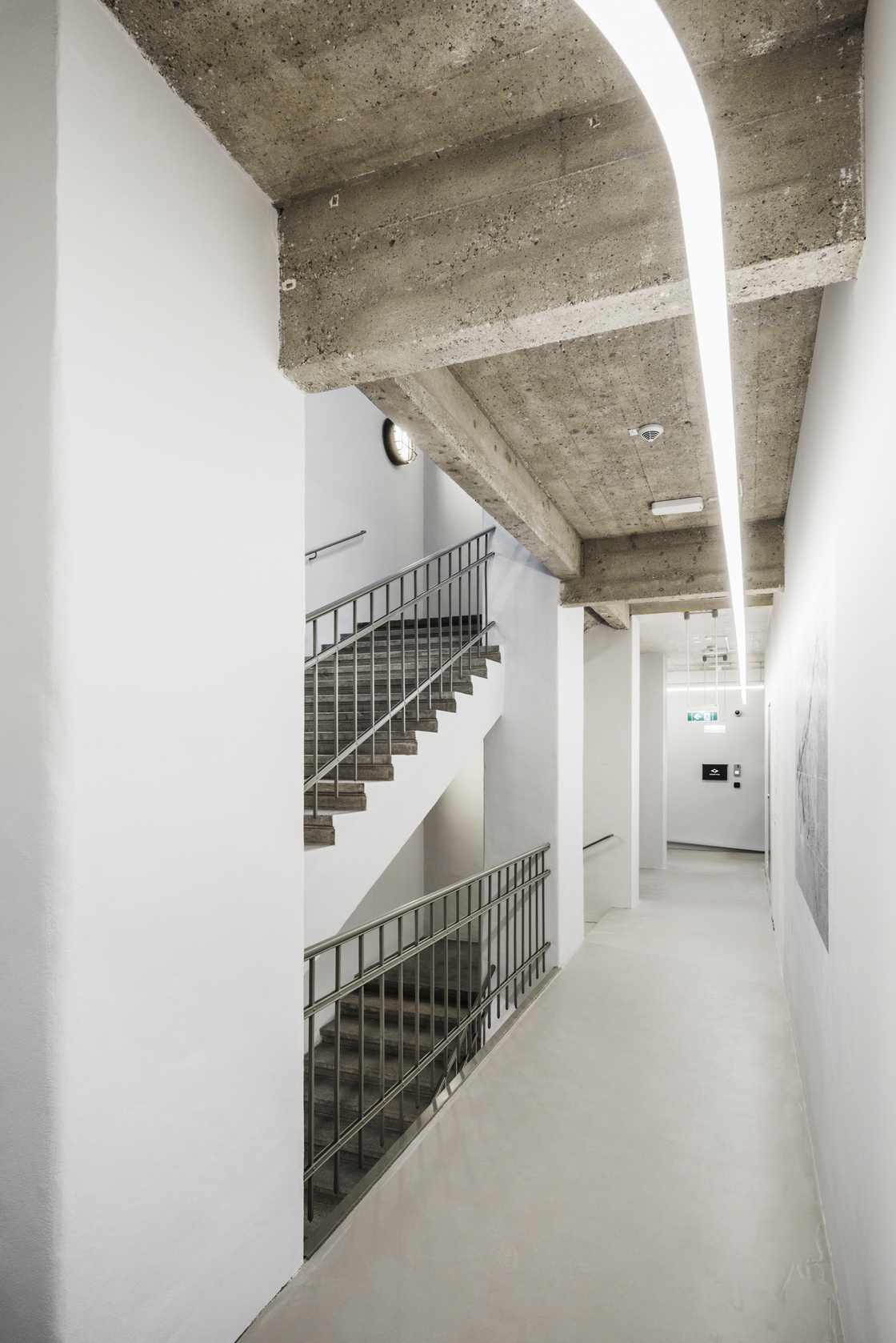 Ein Foto von Pez Hejduk