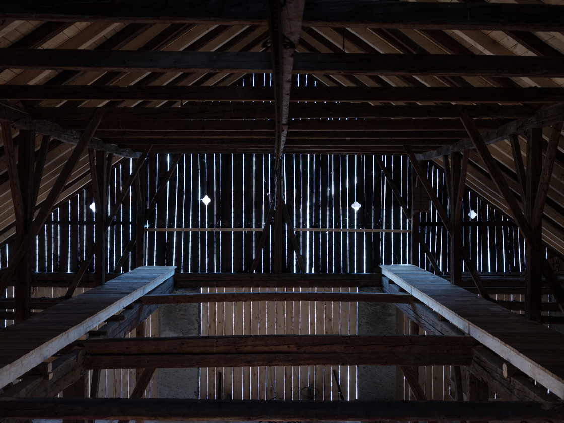 Ein Foto von Nicolas Hafele