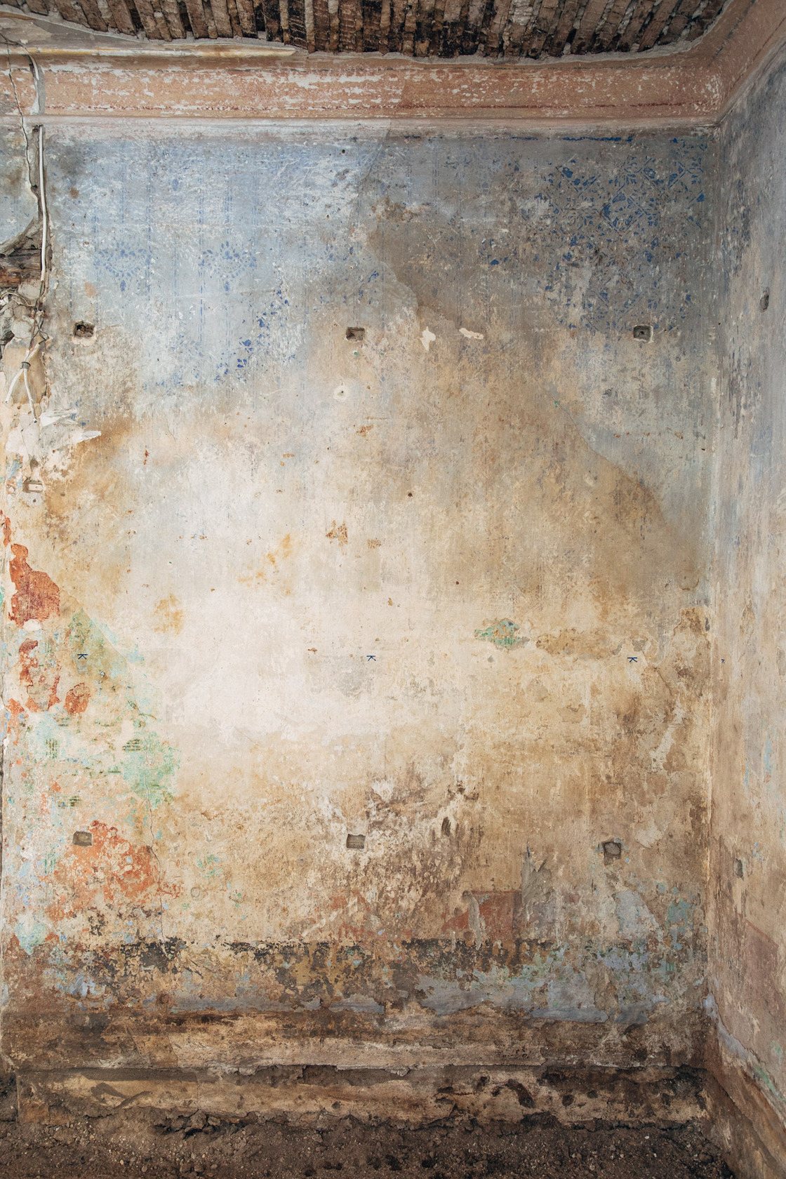 Ein Foto von Nicolas Hafele