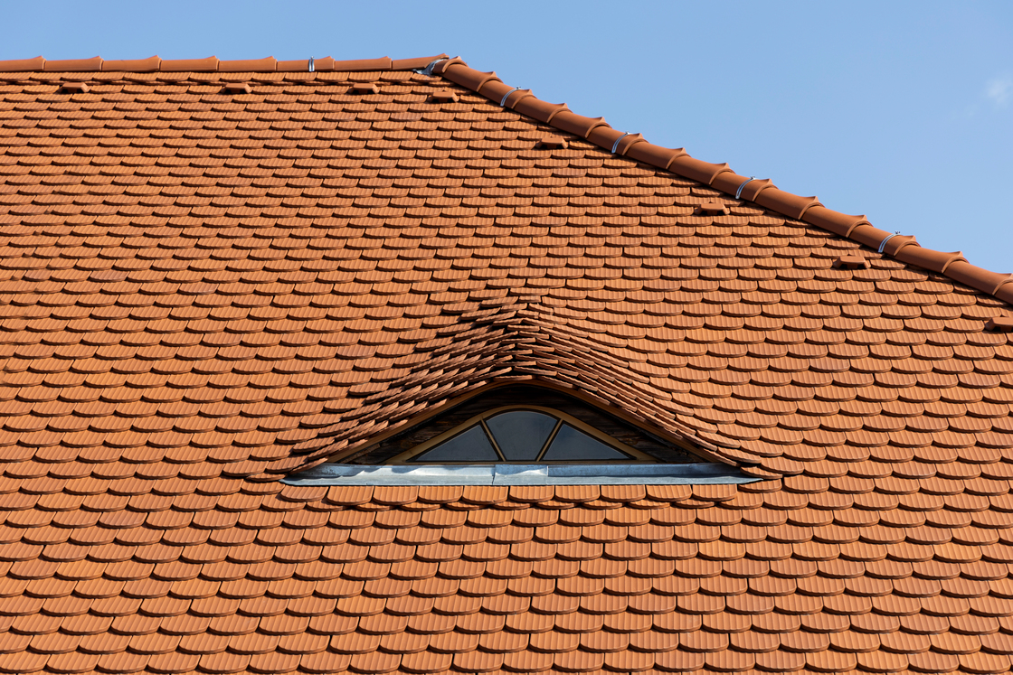 Ein Foto von Die Fotografen