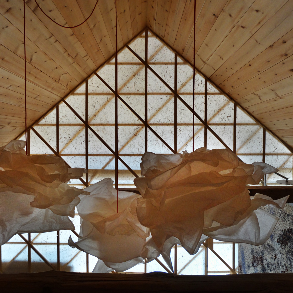 Ein Foto von Daniel Pfurtscheller